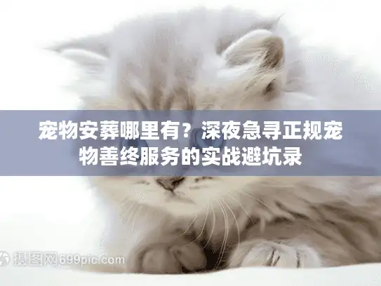 宠物安葬哪里有？深夜急寻正规宠物善终服务的实战避坑录