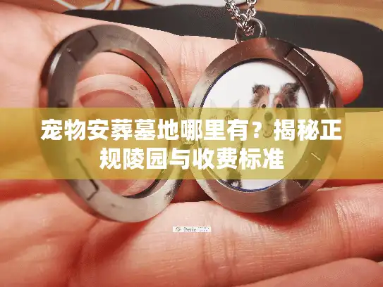宠物安葬墓地哪里有？揭秘正规陵园与收费标准