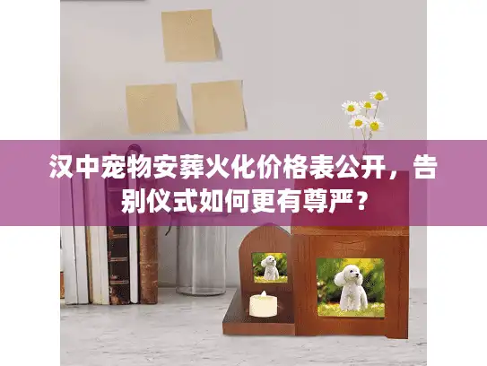 汉中宠物安葬火化价格表公开，告别仪式如何更有尊严？