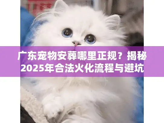 广东宠物安葬哪里正规？揭秘2025年合法火化流程与避坑