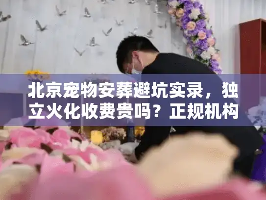 北京宠物安葬避坑实录，独立火化收费贵吗？正规机构善后全流程解析