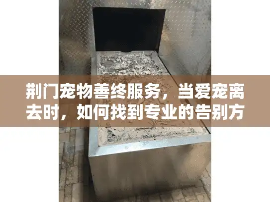 荆门宠物善终服务，当爱宠离去时，如何找到专业的告别方案？