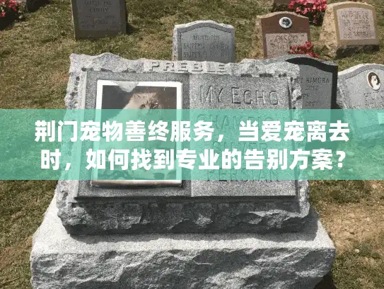 荆门宠物善终服务，当爱宠离去时，如何找到专业的告别方案？