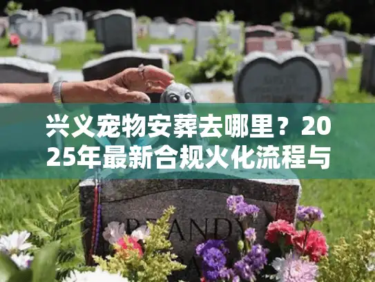 兴义宠物安葬去哪里？2025年最新合规火化流程与收费标准揭秘