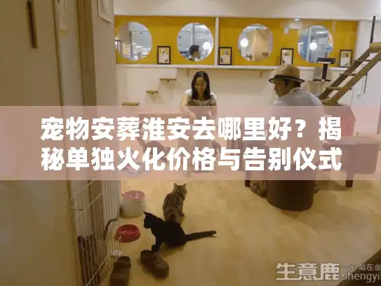 宠物安葬淮安去哪里好？揭秘单独火化价格与告别仪式全流程