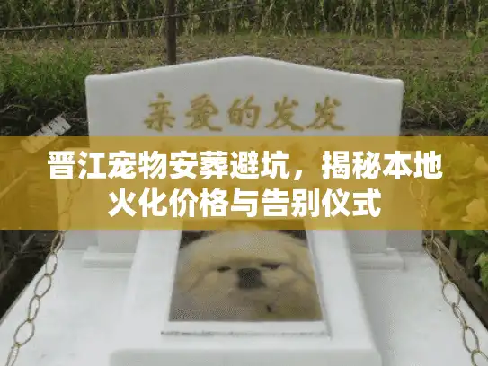 晋江宠物安葬避坑，揭秘本地火化价格与告别仪式