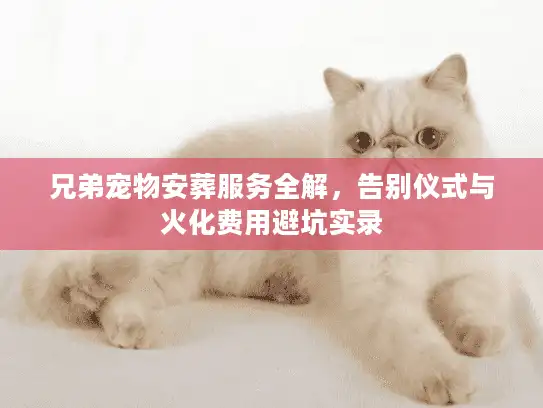 兄弟宠物安葬服务全解，告别仪式与火化费用避坑实录