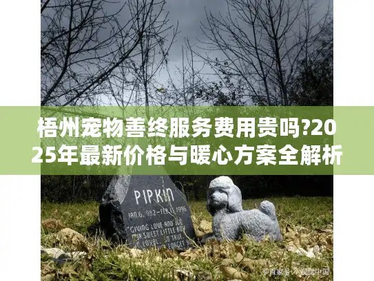 梧州宠物善终服务费用贵吗?2025年最新价格与暖心方案全解析