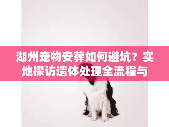 湖州宠物安葬如何避坑？实地探访遗体处理全流程与价格