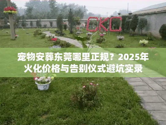 宠物安葬东莞哪里正规？2025年火化价格与告别仪式避坑实录