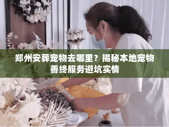 郑州安葬宠物去哪里？揭秘本地宠物善终服务避坑实情