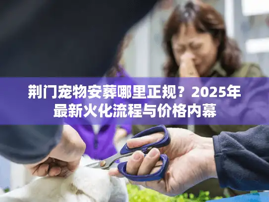荆门宠物安葬哪里正规？2025年最新火化流程与价格内幕