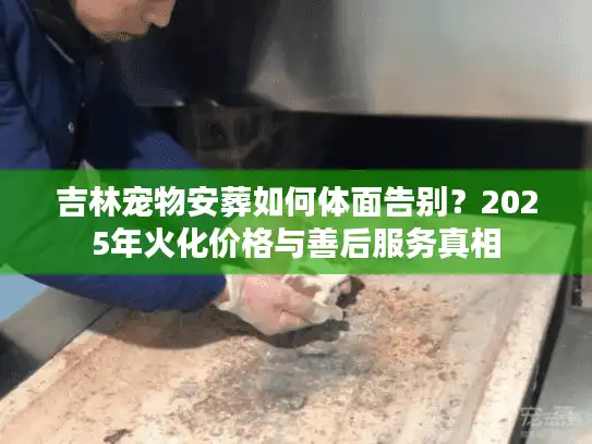 吉林宠物安葬如何体面告别？2025年火化价格与善后服务真相