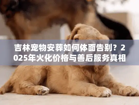 吉林宠物安葬如何体面告别？2025年火化价格与善后服务真相