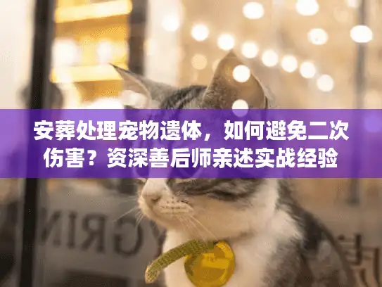 安葬处理宠物遗体，如何避免二次伤害？资深善后师亲述实战经验
