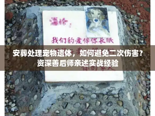 安葬处理宠物遗体，如何避免二次伤害？资深善后师亲述实战经验