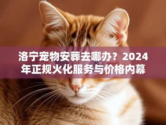 洛宁宠物安葬去哪办？2024年正规火化服务与价格内幕