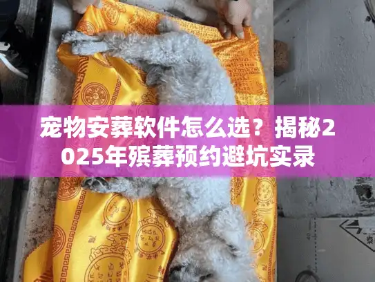 宠物安葬软件怎么选？揭秘2025年殡葬预约避坑实录