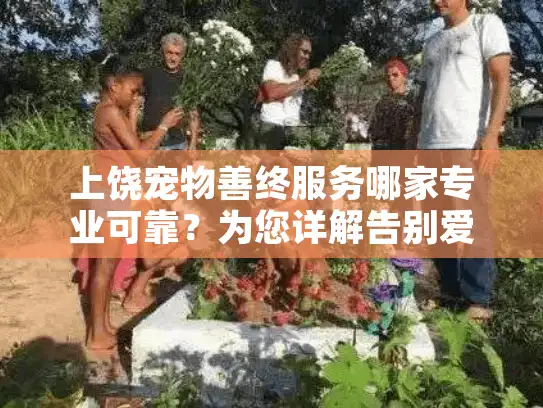 上饶宠物善终服务哪家专业可靠？为您详解告别爱宠的温情选择