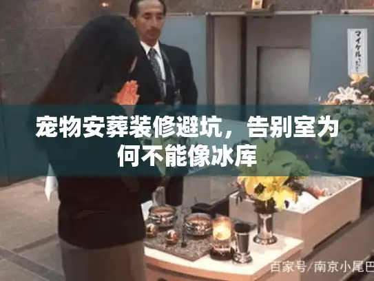 宠物安葬装修避坑，告别室为何不能像冰库