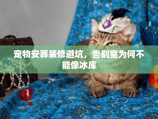 宠物安葬装修避坑，告别室为何不能像冰库