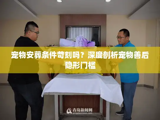 宠物安葬条件苛刻吗？深度剖析宠物善后隐形门槛
