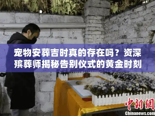 宠物安葬吉时真的存在吗？资深殡葬师揭秘告别仪式的黄金时刻