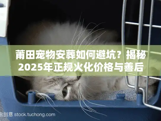 莆田宠物安葬如何避坑？揭秘2025年正规火化价格与善后标准