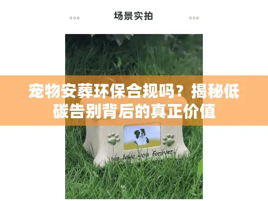 宠物安葬环保合规吗？揭秘低碳告别背后的真正价值