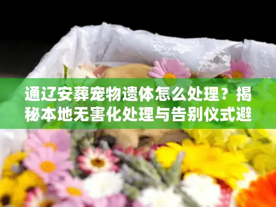 通辽安葬宠物遗体怎么处理？揭秘本地无害化处理与告别仪式避坑