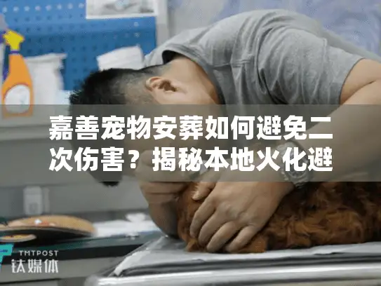 嘉善宠物安葬如何避免二次伤害？揭秘本地火化避坑实录