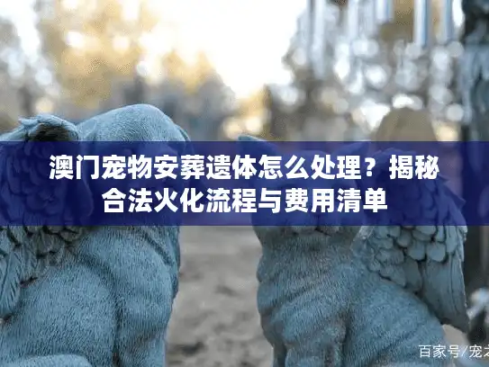 澳门宠物安葬遗体怎么处理？揭秘合法火化流程与费用清单