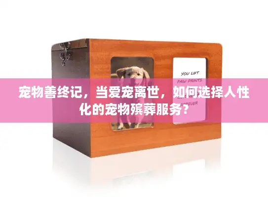宠物善终记，当爱宠离世，如何选择人性化的宠物殡葬服务？