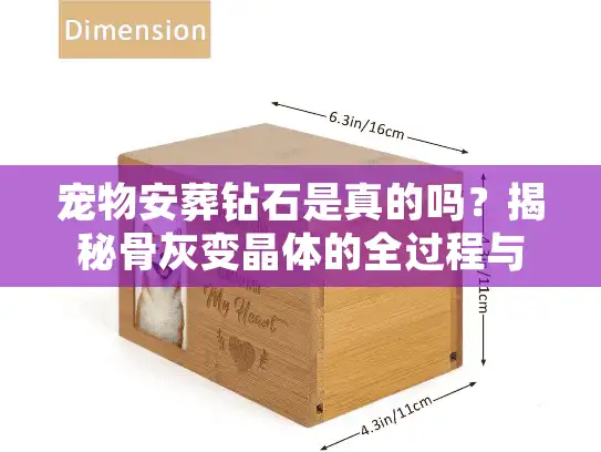 宠物安葬钻石是真的吗？揭秘骨灰变晶体的全过程与价格内幕