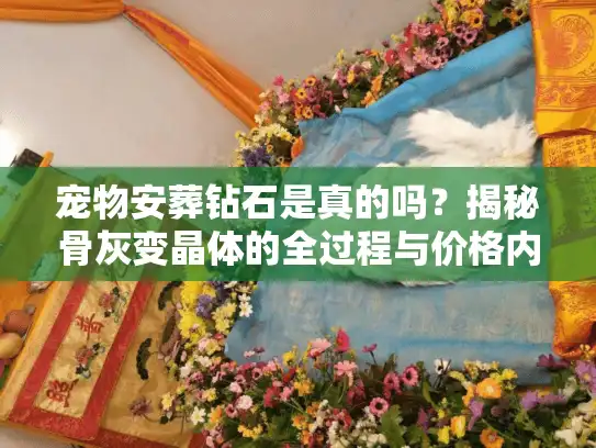 宠物安葬钻石是真的吗？揭秘骨灰变晶体的全过程与价格内幕