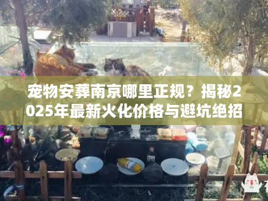 宠物安葬南京哪里正规？揭秘2025年最新火化价格与避坑绝招