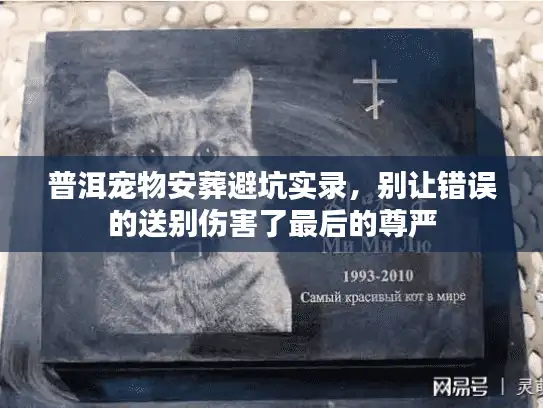 普洱宠物安葬避坑实录，别让错误的送别伤害了最后的尊严