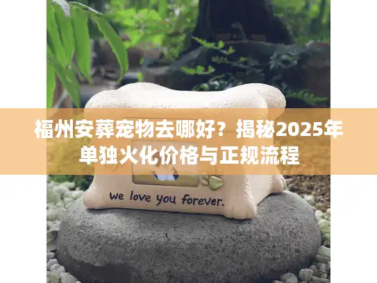 福州安葬宠物去哪好？揭秘2025年单独火化价格与正规流程