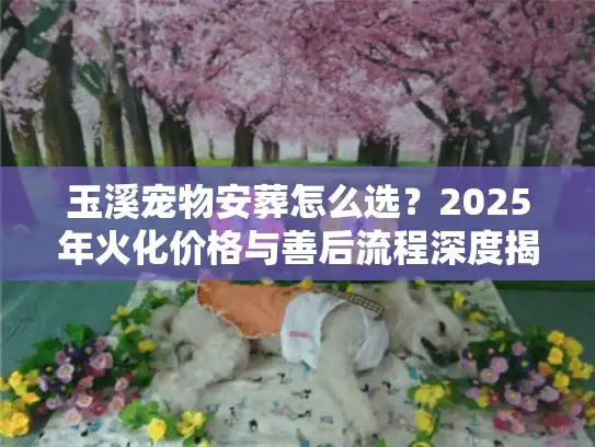 玉溪宠物安葬怎么选？2025年火化价格与善后流程深度揭秘