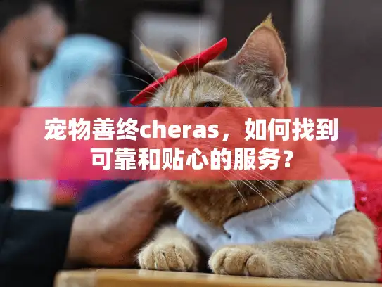 宠物善终cheras，如何找到可靠和贴心的服务？