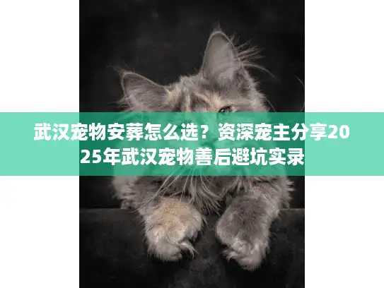 武汉宠物安葬怎么选？资深宠主分享2025年武汉宠物善后避坑实录