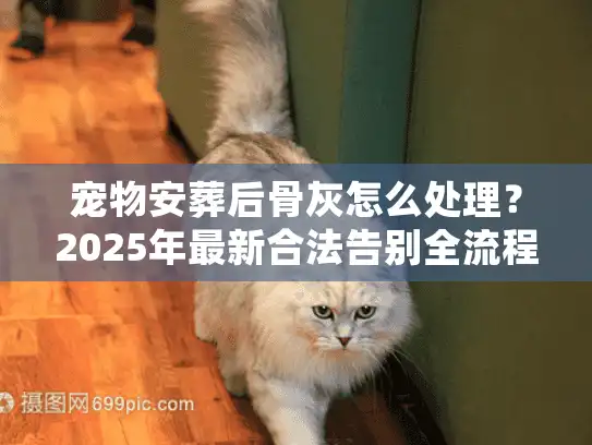 宠物安葬后骨灰怎么处理？2025年最新合法告别全流程
