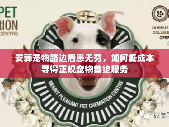 安葬宠物路边后患无穷，如何低成本寻得正规宠物善终服务
