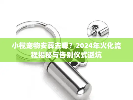 小榄宠物安葬去哪？2024年火化流程揭秘与告别仪式避坑