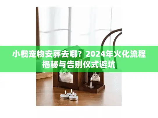 小榄宠物安葬去哪？2024年火化流程揭秘与告别仪式避坑
