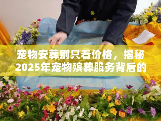宠物安葬别只看价格，揭秘2025年宠物殡葬服务背后的情感闭环与避坑门道
