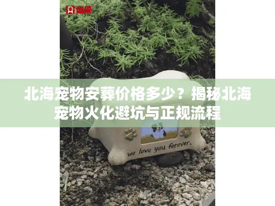北海宠物安葬价格多少？揭秘北海宠物火化避坑与正规流程