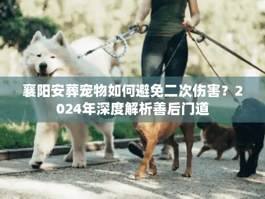 襄阳安葬宠物如何避免二次伤害？2024年深度解析善后门道