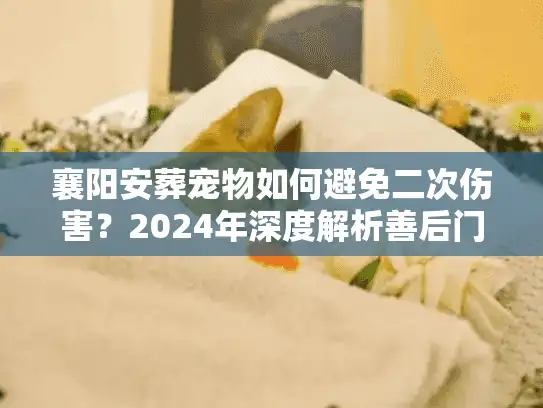 襄阳安葬宠物如何避免二次伤害？2024年深度解析善后门道