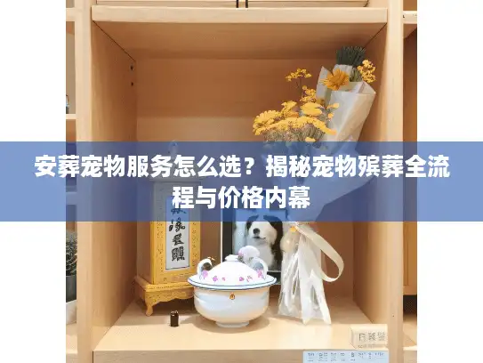 安葬宠物服务怎么选？揭秘宠物殡葬全流程与价格内幕
